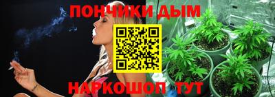 сатива Комсомольск-на-Амуре