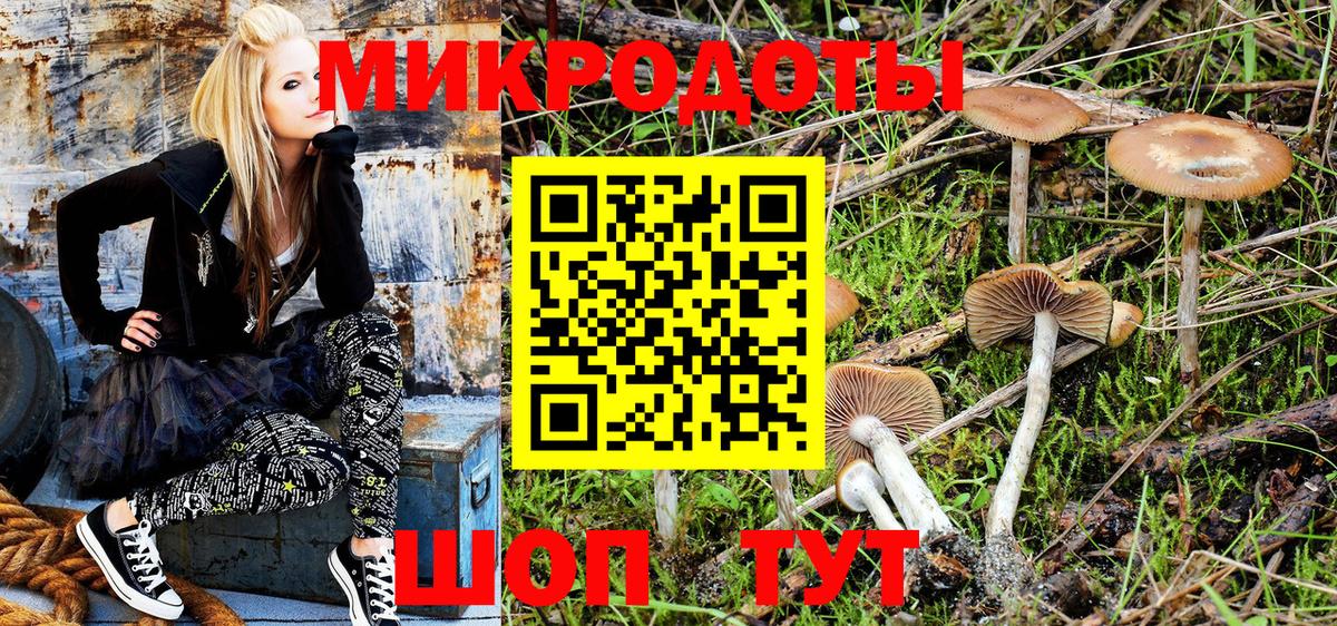 Галлюциногенные грибы прущие грибы Усолье-Сибирское